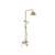 Blackswan M41.2 shower set, gold finish, 20 cm