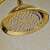 Blackswan M41.2 shower head, gold finish, water flow
