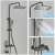 Blackswan M171 shower column with adjustable anthracite gray model, LCD display, hidden faucet and high pressure shower, 120 cm size