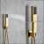 Blackswan M195 shower set, gold, hand shower, close-up