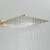 Blackswan M219 Shower Head, Gold, Square, Rain Shower