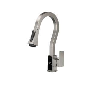 Blackswan M316 Brushed Nickel Kitchen Faucet with LCD Display and 4 Modes - Nonbrand Faucet