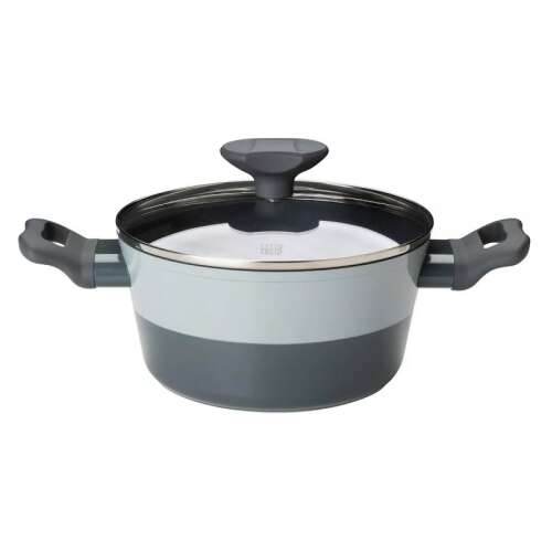 Tasty 678536 Fazék üvegfedővel, 20 cm, 2,5 L, indukciós, alumínium, tapadásmentes bevonat, szürke