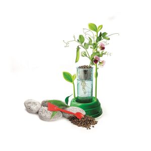 Clementoni Laborator Botanic Hidroponic configurare cu plantă - Jocuri stiintifice si exploratori
