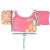 Swim Safe ABC pink and multi-colored polka dot swim vest with arm floaties, size chart, for kids 3-6 years old, 19-30 kg