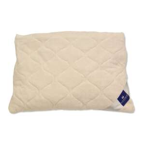 Billerbeck EVOLÉNE buckwheat pillow, front view - Pillow