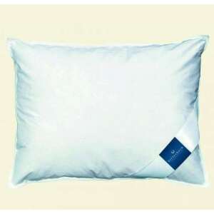 Billerbeck Andi down pillow, 50x70 cm, white cotton cover - Pillow