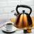Klausberg KB 7209 3 liter whistling kettle, bronze, stainless steel, induction, with cup of coffee and honey
