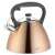 Klausberg KB 7209 3 liter whistling kettle, bronze, stainless steel, induction