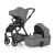 Petite & Mars ICON 2-in-1 Stroller, stroller and bassinet combo