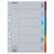 Esselte Standard A4 6-częściowy kolorowy segregator z zakładkami do pisania