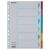 ESSELTE "Standard" A4 6 részes karton színes regiszter írható előlappal 58333211