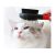 Double-sided Pet Brush for Dogs and Cats with Soft Massaging Bristles 125405042
