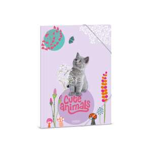 Ars Una Cute Animal Pisică A4 Dosar elastic pentru școală, birou și organizare acasă - Ars Una