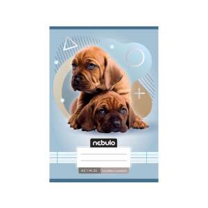 Nebulo A5-ös vonalas füzet aranyos kutyás mintával, tökéletes első osztályosoknak - Spin Master