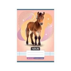 Nebulo A5-ös vonalas füzet első osztályosoknak lovas mintával - Nebulo