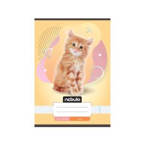 Nebulo Cicás Füzet - Sima - A5 - 20-32 lap 103152498 - Nebulo