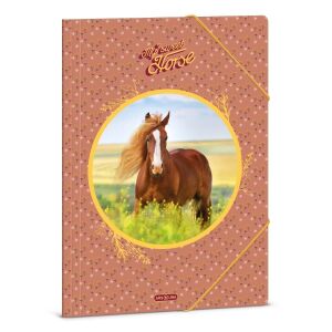 Ars Una Lovas Irattartó Mappa - A4 114197193 - Irattartó mappa