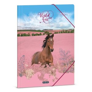 Ars Una Lovas Irattartó A4 114197194 - Irattartó mappa