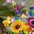 LEGO® ICONS: Wiesenblumenstrauß - 10313 103215788