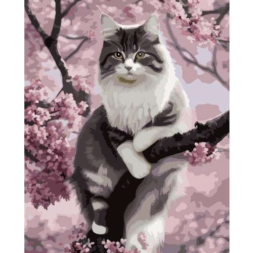 Kifestő, Festés szám szerint 40x50cm - cica 103288749