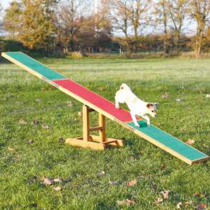 Trixie Agility Hinta kutyás sportokhoz- 300 × 54 × 34 cm 103338293 - Trixie