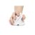 Bluestork Cordless Mouse - M-WL-ERGO-LUMI-W (Ergonomic, Rechargeable, 2400 DPI, 6 buttons, optical, white) 103411511