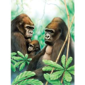 Gorilla család festő készlet gyerekeknek, 20x25 cm, akrilfestékek, ecsetek, számozott vászon, számozott festés gyerekeknek, gorilla család festmény - Művészet & Hobbi