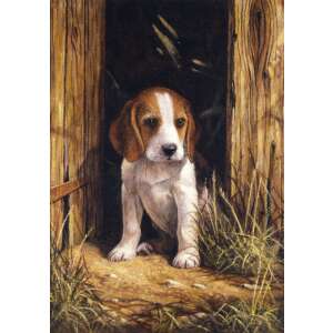 Beagle kölyök festő készlet számokkal, 20x25 cm, 8 éves kortól - Művészet & Hobbi