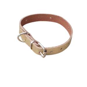 Gold leather dog collar for small dogs - Pet Collar