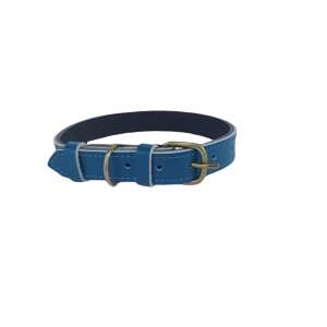 Turquoise leather dog collar, 60 cm length, 2.5 cm width - Pet Collar
