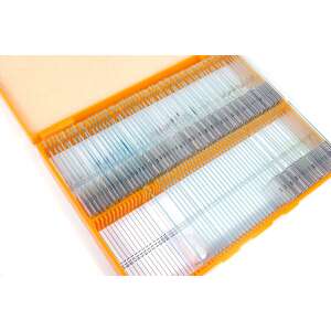 Levenhuk N80 NG „Láss mindent!” Junior biológia készlet 80 előkészített mikroszkóp tárgylemezzel - Mikroszkóp tárgylemez