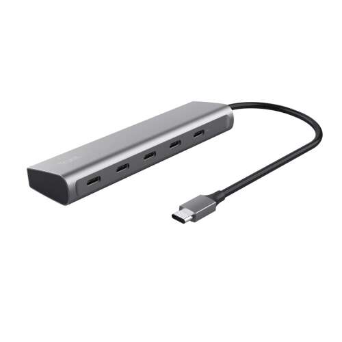Trust Halyx 5-Port USB-C Hub, srebrny, widok pod kątem