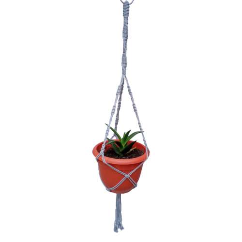 Gray macrame plant hanger with spiral design, holding a small potted plant