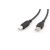 Gembird CCP-USB2-AMBM-6 USB kábel 1,82 m USB A USB B Čierna 102850858
