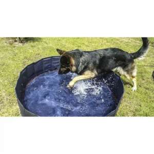 Purlov Összecsukható Kutyamedence - 120x30 cm