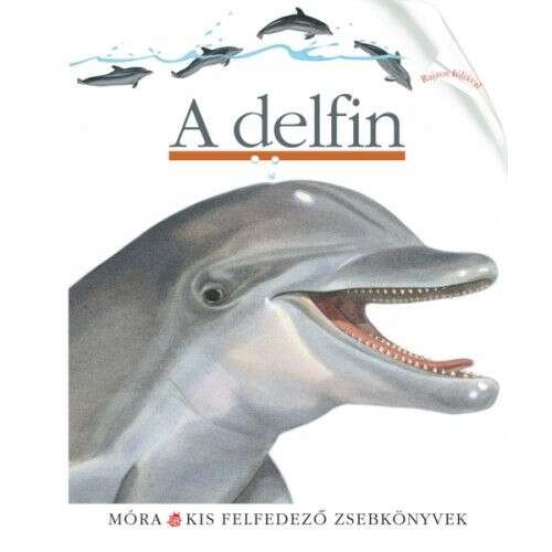 A delfin 36509216