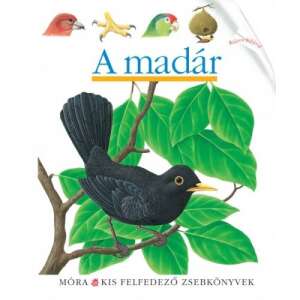 A madár 46839781 Ifjúsági könyvek - Madár