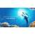 Endless Ocean Luminous Nintendo Switch játék borítója, amelyen egy búvár egy delfinnel és egy teknőssel úszik
