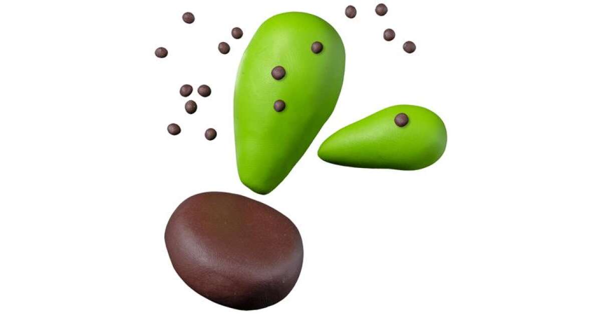 FIMO Knete-Set, 2x42 g, brennbar, FIMO Kids, lustiger Kaktus | Pepita.com