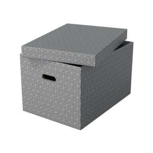 ESSELTE Home Aufbewahrungsbox, Größe L, grau, mit offenem Deckel - Aufbewahrungsboxen und -körbe