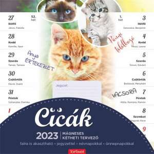 TOPTIMER 2023 Magnetyczny tygodniowy planer kalendarz ścienny z kotami - TOPTIMER