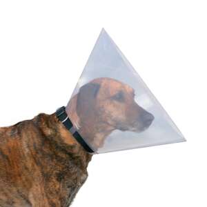 Transparent plastic dog cone, recovery collar for dogs, pet cone, dog cone for healing, dog cone for wounds, dog cone for surgery, dog cone for after surgery, dog cone for post surgery, dog cone for post-surgery, dog cone for post-operative care, dog cone for post operative care, dog cone for post-op care - Pet Care