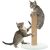 Two Cats playing on Sisal Scratching Post