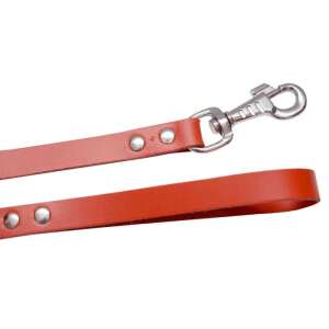 Red leather dog leash with metal clasp - Leash