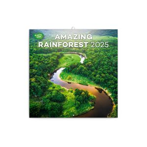 Falinaptár képes lemeznaptár 300x300mm, Amazing Rainforest Realsystem 2026. 131795672 - REALSYSTEM