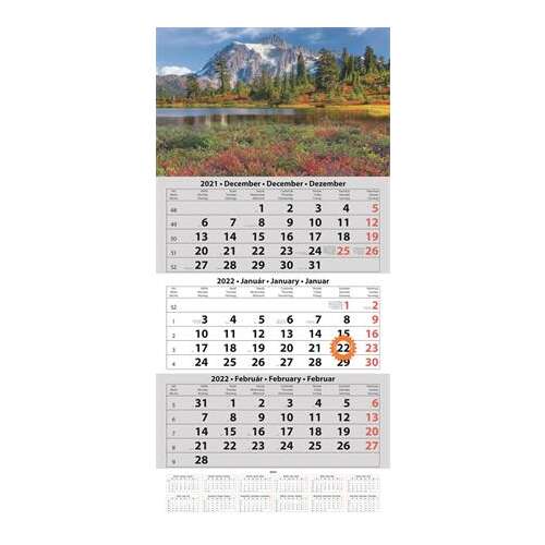 DAYLINER Calendar, expeditor, trei luni, un bloc, DAYLINER, antet mixt