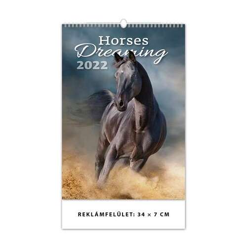 DAYLINER Kalender, Wand, DAYLINER, "Pferde träumen" 37525580