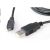 Kabel EQUIP USB 2.0, USB-A/USB MicroB, 1 m, EQUIP 37525887