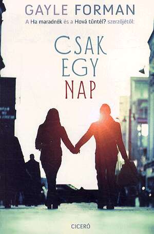 Csak egy nap
